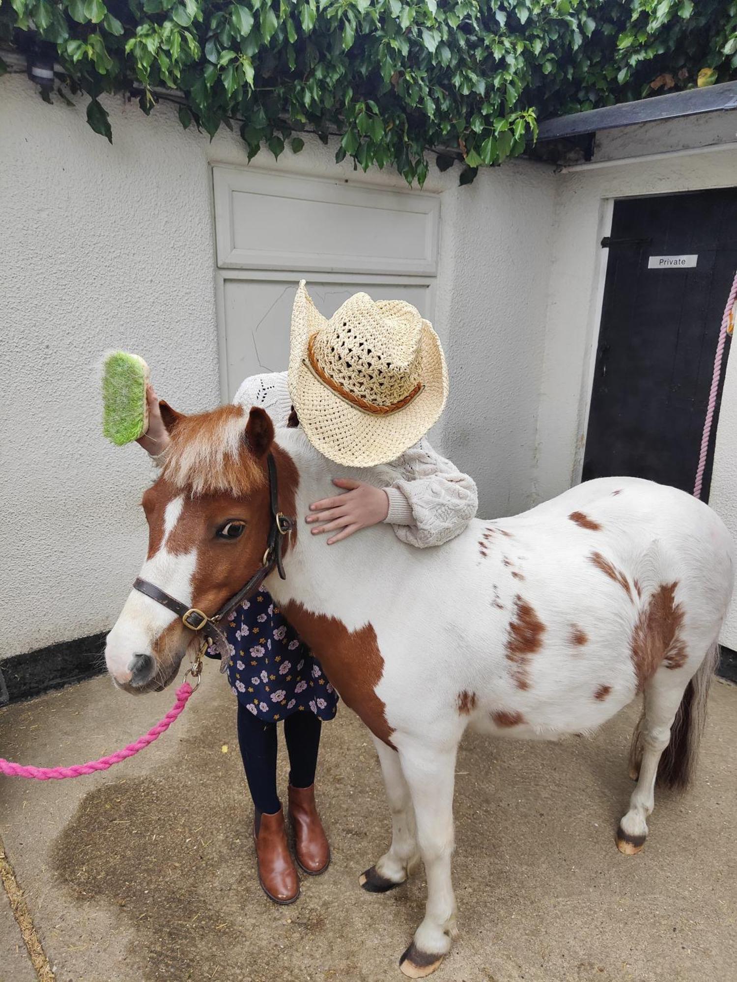 The Stable Annexe & Spa 독다이크 외부 사진